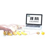 Makey Makey Standart Kit - Görsel 3