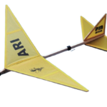 Arı Lazer Kesim Lastik Motorlu Çubuk Gövdeli Demonte Serbest Uçuş Modeli | PM Model