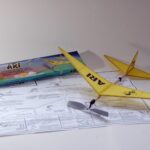 Arı Klasik Lastik Motorlu Çubuk Gövdeli Demonte Serbest Uçuş Modeli | PM Model 1001