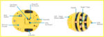 Bee-Bot Okul Öncesi Programlama Robotu - Görsel 3
