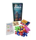 DNA Modeli Yapalım - Görsel 3